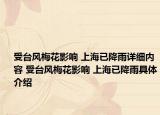 受台风梅花影响 上海已降雨详细内容 受台风梅花影响 上海已降雨具体介绍