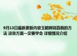 9月13日最新更新内容玉髓辨别真假的方法 这些方面一定要学会 详细情况介绍