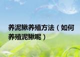 养泥鳅养殖方法（如何养殖泥鳅呢）