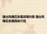 强台风梅花来袭详细内容 强台风梅花来袭具体介绍