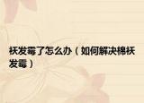 袄发霉了怎么办（如何解决棉袄发霉）