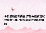 今日最新更新内容 洋码头最新现状现在怎么样了拖欠卖家资金真的假的