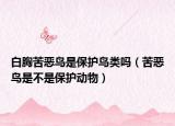 白胸苦恶鸟是保护鸟类吗（苦恶鸟是不是保护动物）