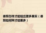 番茄怎样才能结出更多果实（番茄如何种才结果多）