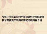 今年下半年起农村严查这3种小生意 被抓住了都要受严惩具体情况详细内容介绍