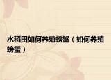 水稻田如何养殖螃蟹（如何养殖螃蟹）