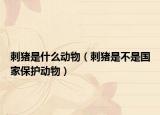 刺猪是什么动物（刺猪是不是国家保护动物）