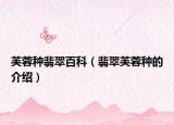 芙蓉种翡翠百科（翡翠芙蓉种的介绍）