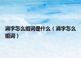 淌字怎么组词是什么（淌字怎么组词）