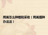茼蒿怎么种植和采收（茼蒿播种办法法）
