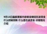 9月13日最新更新内容基金赎回在途资金什么时候到账 什么是在途资金 详细情况介绍