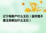 辽宁阜新产什么玉石（翡翠是不是玉阜新出什么玉石）