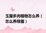 玉露多肉植物怎么养（怎么养绿露）