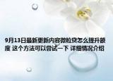 9月13日最新更新内容微粒贷怎么提升额度 这个方法可以尝试一下 详细情况介绍