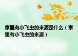 家里有小飞虫的来源是什么（家里有小飞虫的来源）