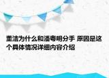 董洁为什么和潘粤明分手 原因是这个具体情况详细内容介绍