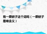 有一乘轿子这个词吗（一乘轿子是啥含义）
