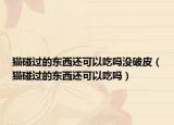 猫碰过的东西还可以吃吗没破皮（猫碰过的东西还可以吃吗）