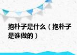 抱朴子是什么（抱朴子是谁做的）