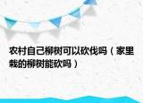 农村自己柳树可以砍伐吗（家里栽的柳树能砍吗）