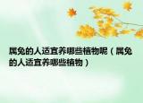 属兔的人适宜养哪些植物呢（属兔的人适宜养哪些植物）
