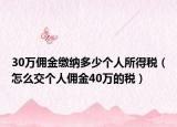 30万佣金缴纳多少个人所得税（怎么交个人佣金40万的税）