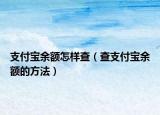 支付宝余额怎样查（查支付宝余额的方法）