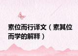 素位而行译文（素其位而学的解释）