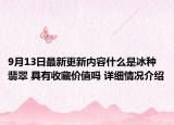 9月13日最新更新内容什么是冰种翡翠 具有收藏价值吗 详细情况介绍