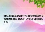 9月13日最新更新内容花呗突然被冻结了怎样才能解冻 尝试这几个方法 详细情况介绍