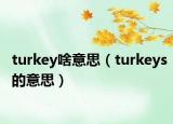 turkey啥意思（turkeys的意思）