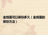 金线莲可以保存多久（金线莲的保存方法）