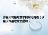 沙尘天气是啥意思的呢用英语（沙尘天气是啥意思的呢）