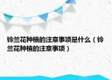 铃兰花种植的注意事项是什么（铃兰花种植的注意事项）