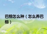 巴榕怎么种（怎么养巴榕）