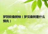 梦到砍桑树枝（梦见桑树是什么预兆）