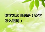 染字怎么组词语（染字怎么组词）