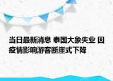 当日最新消息 泰国大象失业 因疫情影响游客断崖式下降