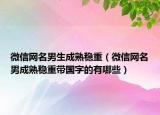 微信网名男生成熟稳重（微信网名男成熟稳重带国字的有哪些）
