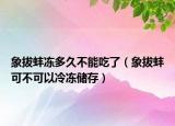 象拔蚌冻多久不能吃了（象拔蚌可不可以冷冻储存）