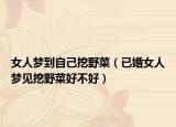 女人梦到自己挖野菜（已婚女人梦见挖野菜好不好）
