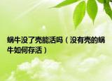 蜗牛没了壳能活吗（没有壳的蜗牛如何存活）