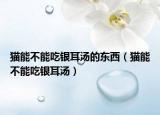 猫能不能吃银耳汤的东西（猫能不能吃银耳汤）