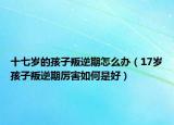 十七岁的孩子叛逆期怎么办（17岁孩子叛逆期厉害如何是好）
