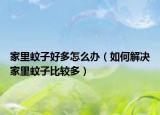 家里蚊子好多怎么办（如何解决家里蚊子比较多）