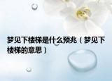 梦见下楼梯是什么预兆（梦见下楼梯的意思）