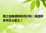 园土加煤渣种多肉行吗（煤渣种多肉怎么配土）