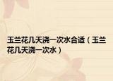 玉兰花几天浇一次水合适（玉兰花几天浇一次水）