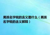 男孩名字锐的含义是什么（男孩名字锐的含义解释）