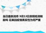 当日最新消息 9月13日贵阳检测核酸吗 花果园疫情真实性为何严重